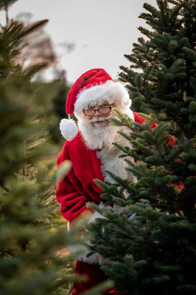 Santa peeking around pine tree.