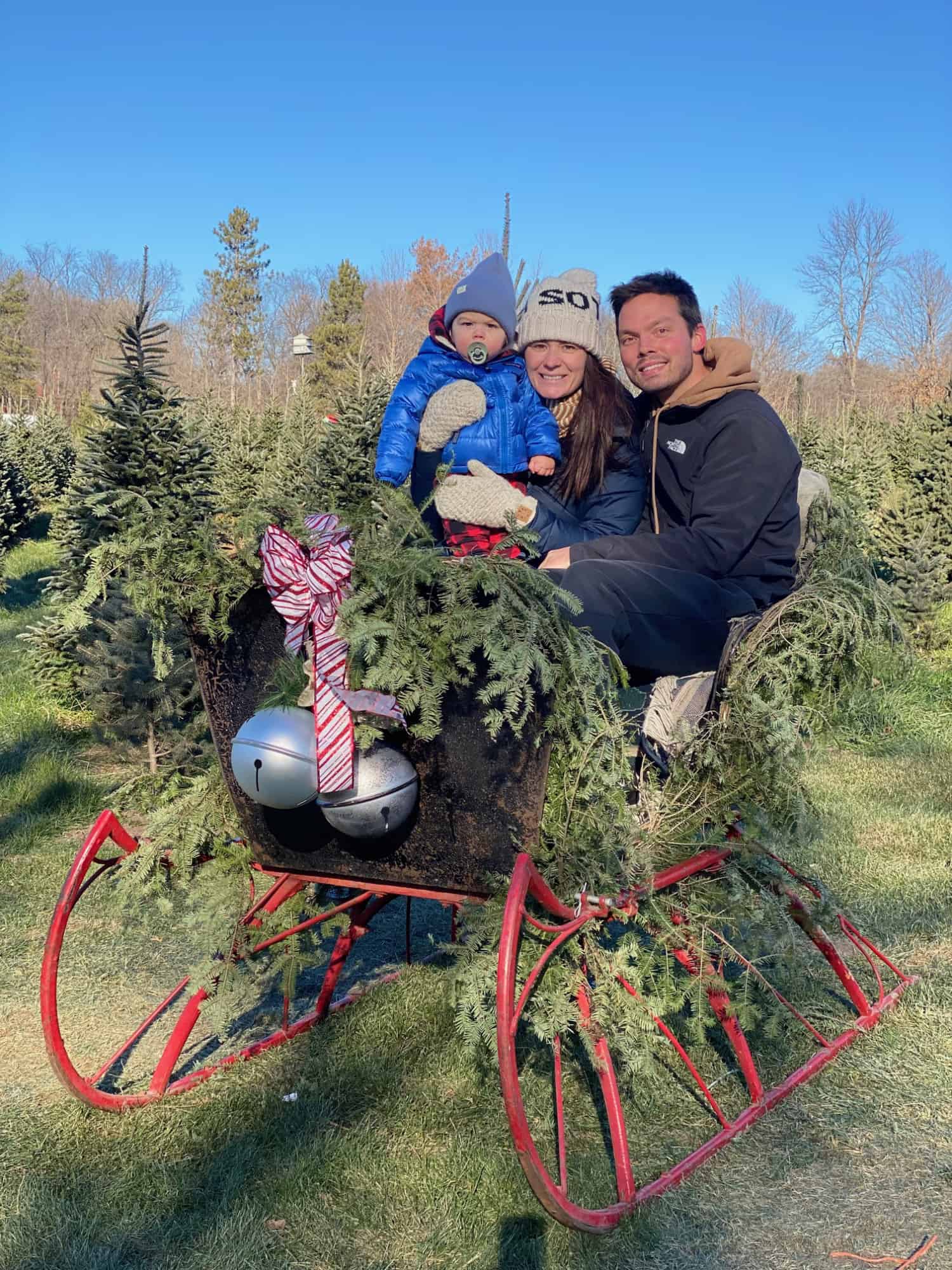 Family in Christmas sleigh.