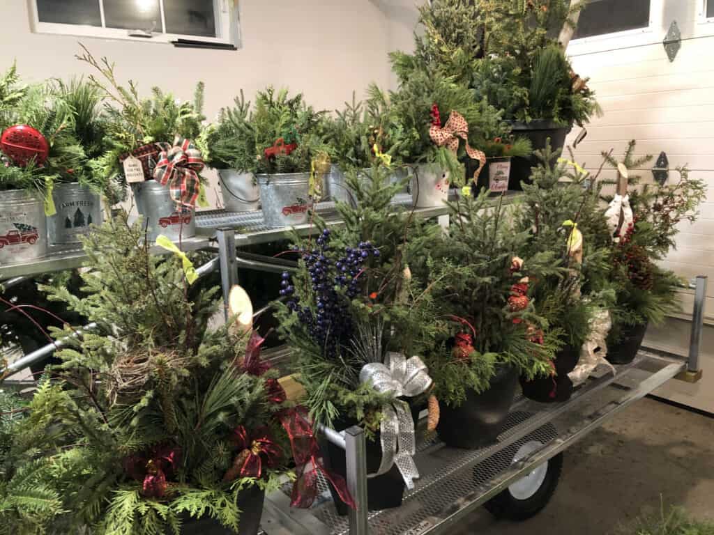 Decorated Christmas porch pots.