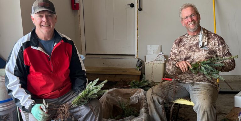 Spring planting for the 2034 Season